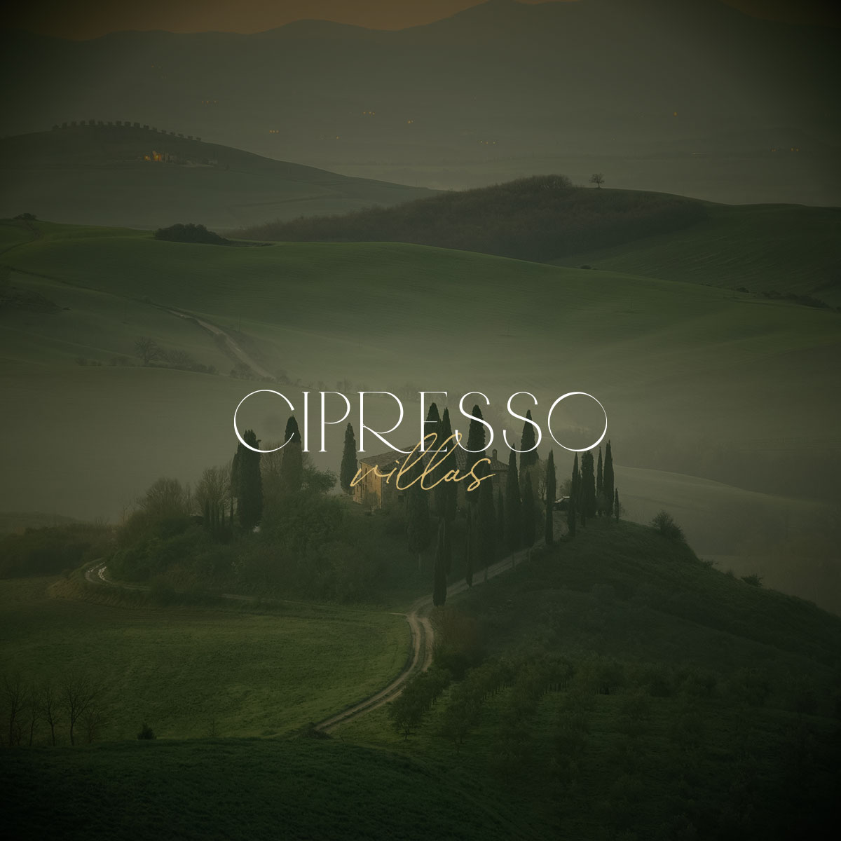 Cipresso-7