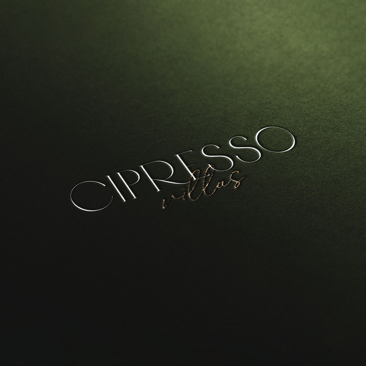 Cipresso-9